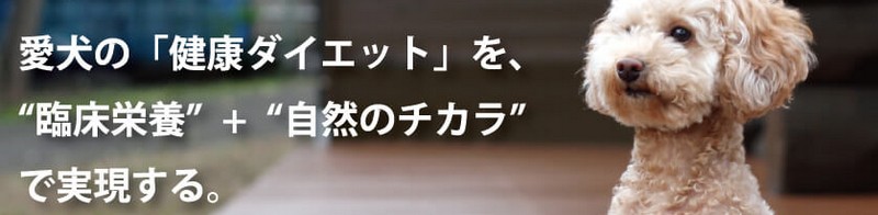 �}�b�V�����[���E�f�U�C���E�X�^�W�I���T�C�g